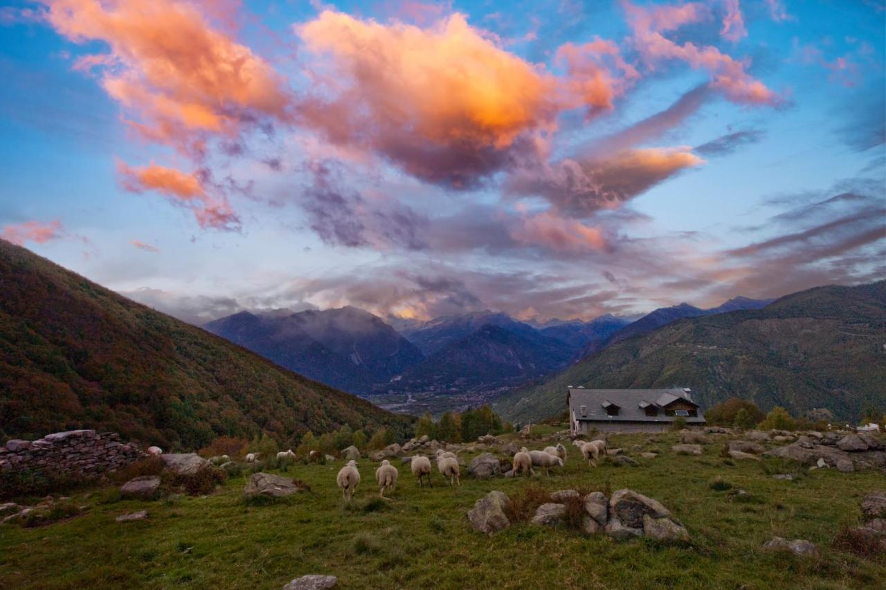 Rifugio Parpinasca Pansiyon Trontano Dış mekan fotoğraf
