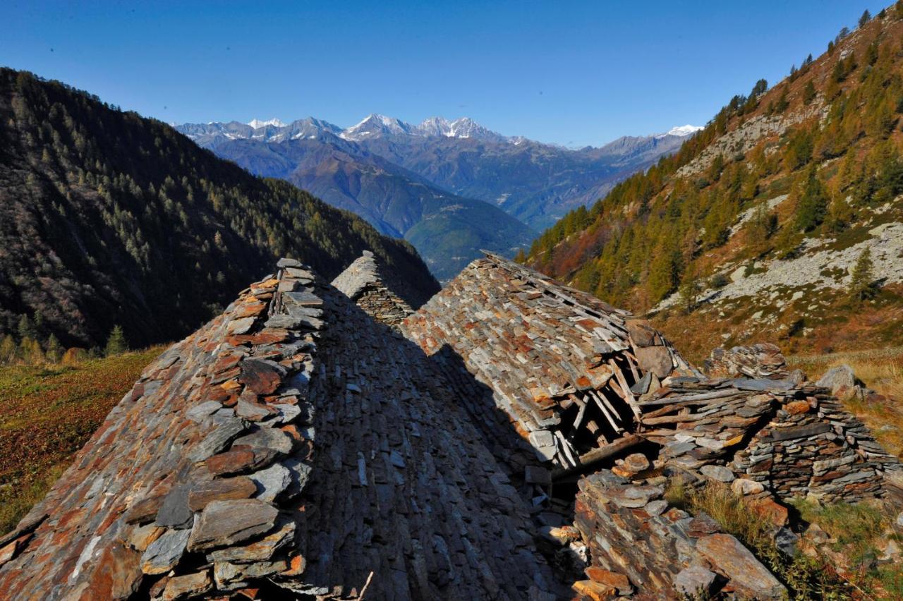Rifugio Parpinasca Pansiyon Trontano Dış mekan fotoğraf
